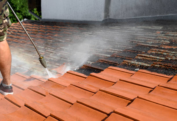 Best Commercial Building Pressure Washing  in Beacon Hill, WA