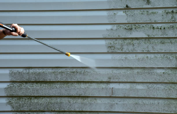 Roof Power Washing Services in Beacon Hill, WA