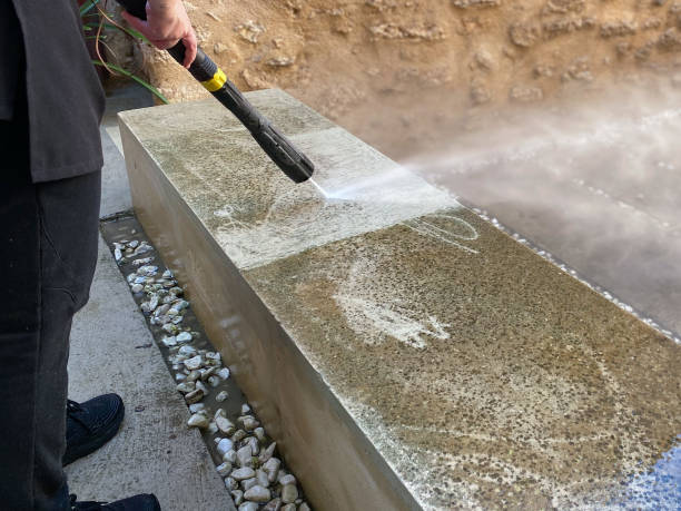 Best Pressure Washing Company Near Me  in Beacon Hill, WA