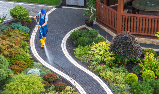Best Exterior Home Cleaning  in Beacon Hill, WA